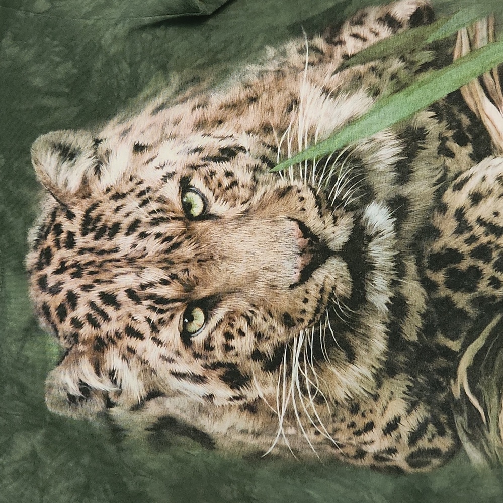 Mountain tee Philadelphia Zoo Tiger The Mountain Tye Dye Tee